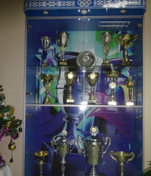 наши достижения